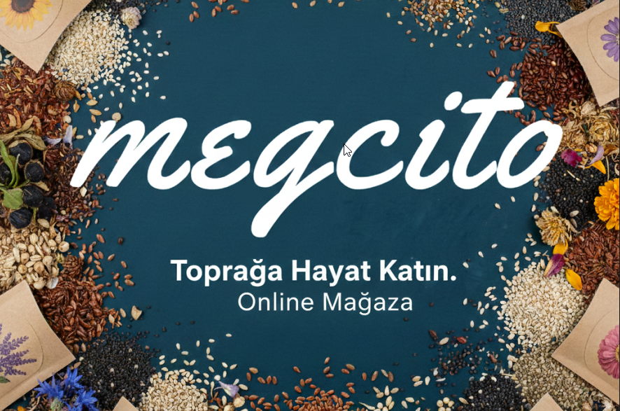 MegCiTo Sitemiz Hayırlı Olsun