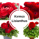 Şakayık Tohumu ( Kalıcı ve Katlı Çiçek )  - Kırmızı Renkli - 5 Tohum