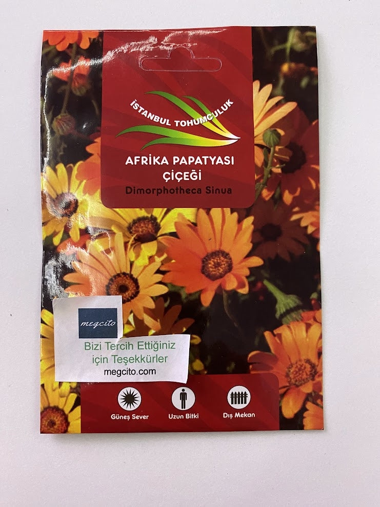 AFRİKA PAPATYASI ( ÇOKLU TOHUM ) - 250 Tohum - KARIŞIK Renk - MegCiTo