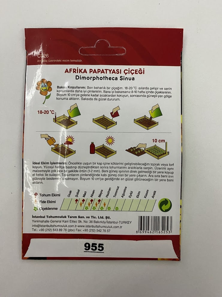 AFRİKA PAPATYASI ( ÇOKLU TOHUM ) - 250 Tohum - KARIŞIK Renk - MegCiTo
