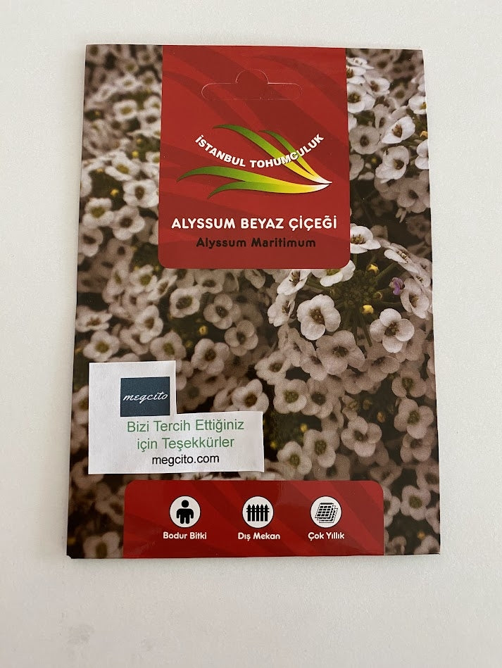 ALYSSUM ( ÇOKLU TOHUM ) - 250 Tohum - BEYAZ Renk - MegCiTo