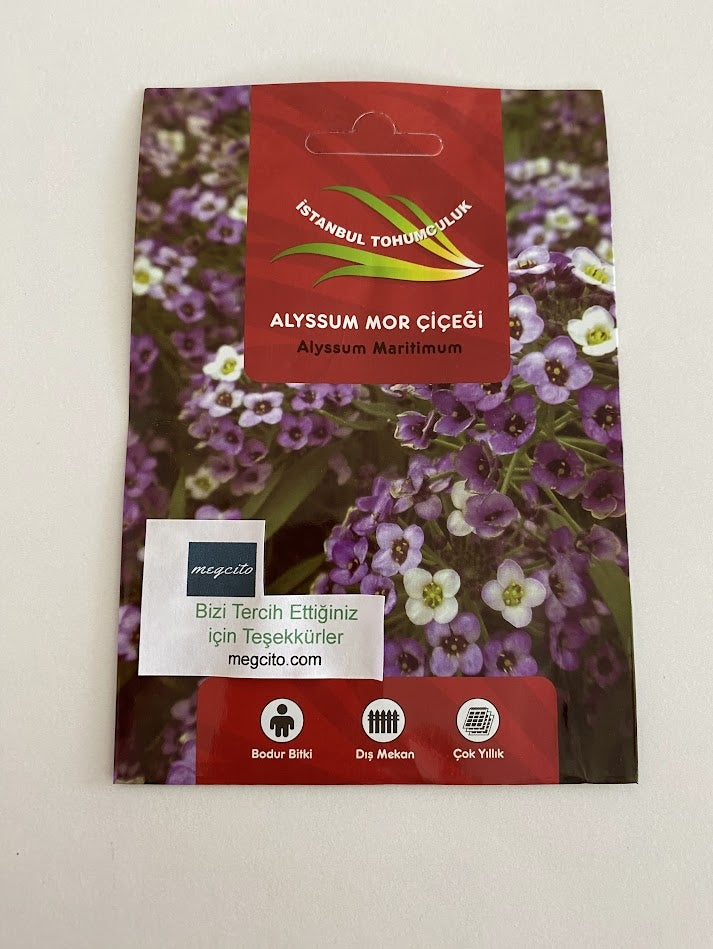ALYSSUM ( ÇOKLU TOHUM ) - 250 Tohum - MOR Renk - MegCiTo