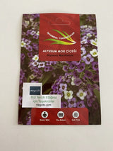 ALYSSUM ( ÇOKLU TOHUM ) - 250 Tohum - MOR Renk - MegCiTo