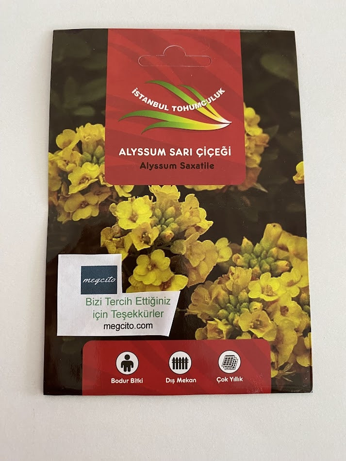 ALYSSUM ( ÇOKLU TOHUM ) - 250 Tohum - SARI Renk - MegCiTo