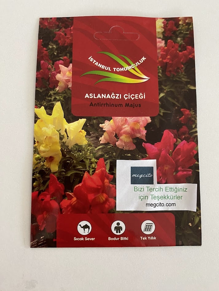 ASLANAGZI ( ÇOKLU TOHUM ) - 250 Tohum - KARIŞIK Renk - MegCiTo