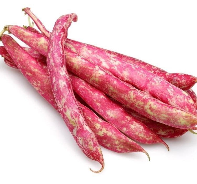 BARBUNYA ( ÇOKLU TOHUM ) - 25 Gram - MegCiTo