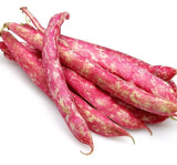 BARBUNYA ( ÇOKLU TOHUM ) - 25 Gram - MegCiTo