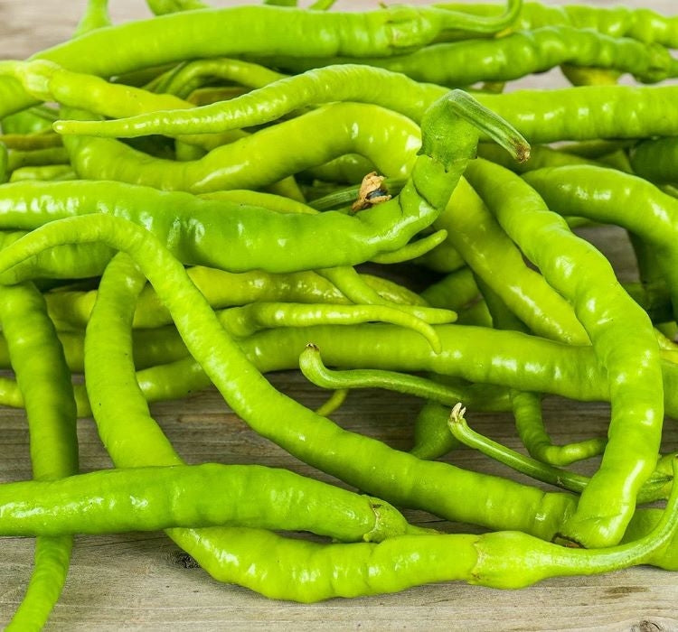 BİBER SİVRİ TATLI ÇORBACI ( ÇOKLU TOHUM ) - 5 Gram - MegCiTo