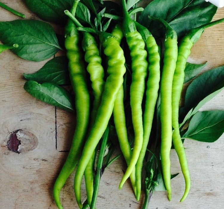 BİBER SİVRİ TATLI ÇORBACI ( ÇOKLU TOHUM ) - 5 Gram - MegCiTo