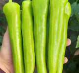 BİBER ÇARLİSTON ( ÇOKLU TOHUM ) - 5 Gram - MegCiTo