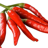 BİBER HATAY ACI ( ÇOKLU TOHUM ) - 5 Gram - MegCiTo