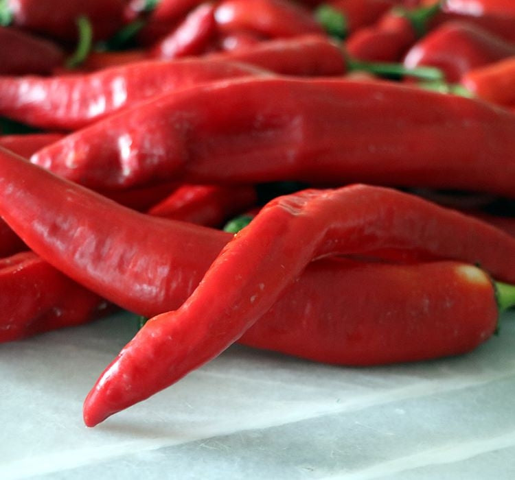 BİBER HATAY ACI ( ÇOKLU TOHUM ) - 5 Gram - MegCiTo