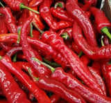 BİBER HATAY ACI ( ÇOKLU TOHUM ) - 5 Gram - MegCiTo