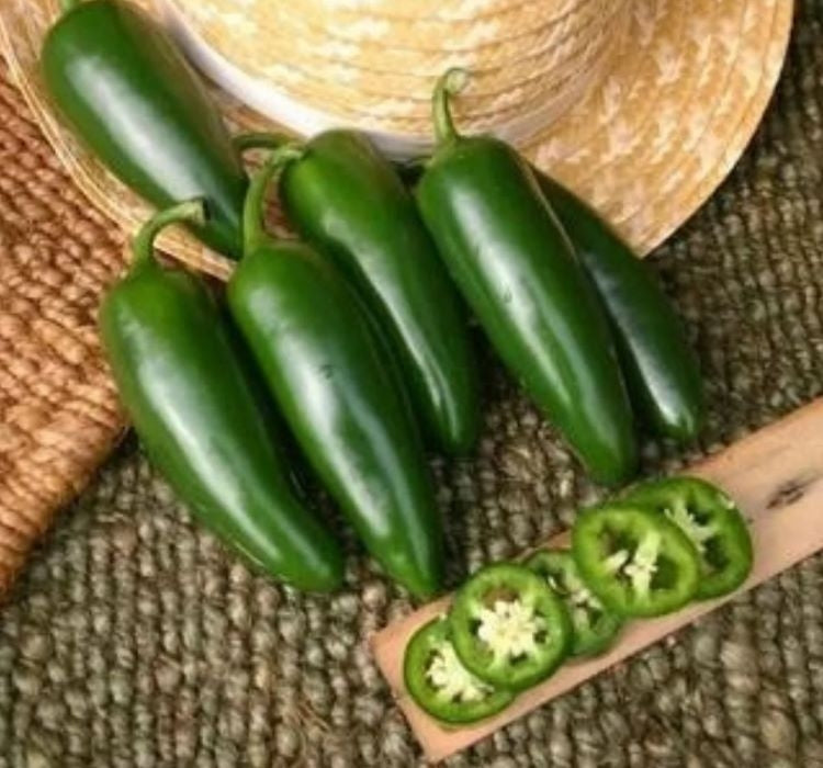 BİBER JALEPONE ( ÇOKLU TOHUM ) - 3 Gram - MegCiTo