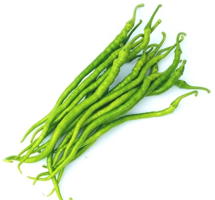 BİBER KIL TATLI ( ÇOKLU TOHUM ) - 5 Gram - MegCiTo