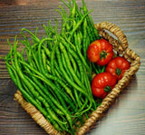 BİBER KIL TATLI ( ÇOKLU TOHUM ) - 5 Gram - MegCiTo