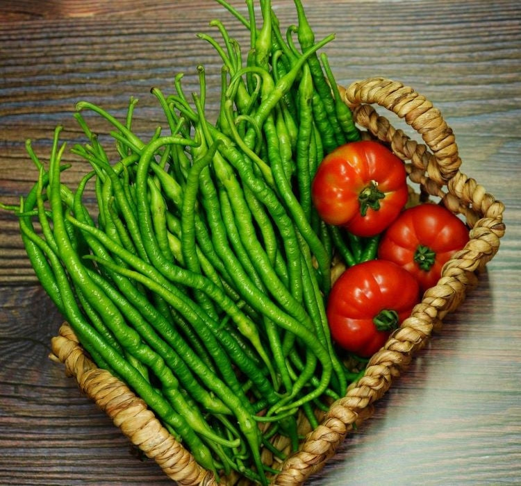 BİBER KIL TATLI ( ÇOKLU TOHUM ) - 5 Gram - MegCiTo