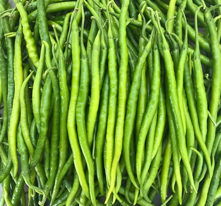 BİBER KIL ACI ( ÇOKLU TOHUM ) - 5 Gram - MegCiTo