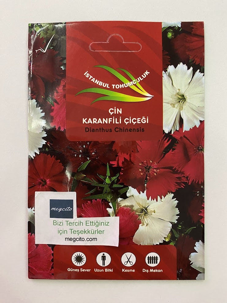 ÇİN KARANFİLİ ( ÇOKLU TOHUM ) - 100 Tohum - KARIŞIK Renk - MegCiTo