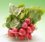 TURP FINDIK ( ÇOKLU TOHUM ) - 5 Gram - MegCiTo