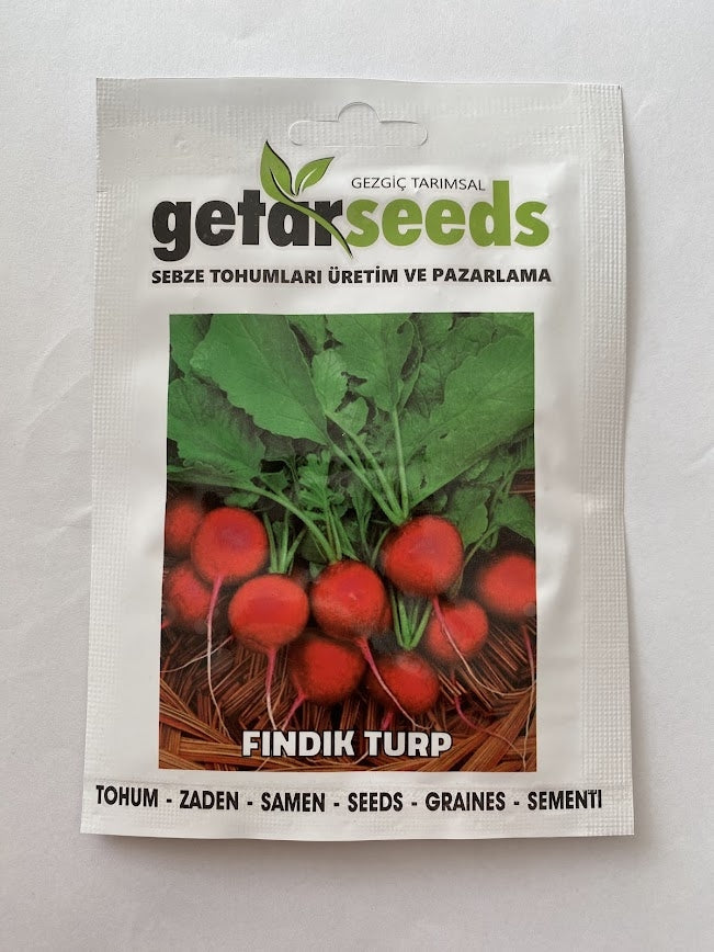 TURP FINDIK ( ÇOKLU TOHUM ) - 5 Gram - MegCiTo