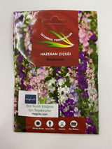 HAZERAN ( ÇOKLU TOHUM ) - 200 Tohum - KARIŞIK Renk - MegCiTo
