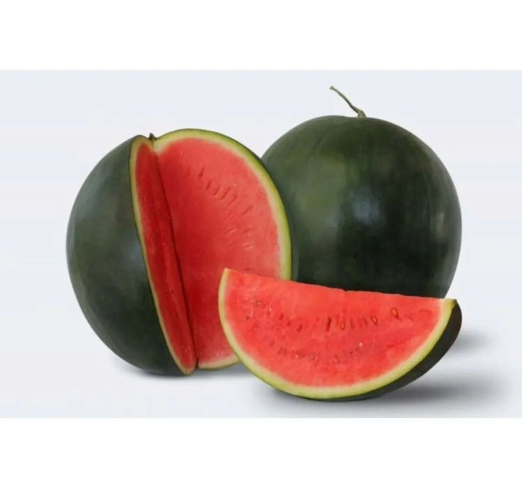 SUGAR BABY KARA KARPUZ ( ÇOKLU TOHUM ) - 100 Adet - MegCiTo