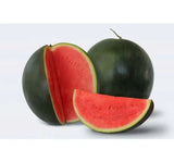 SUGAR BABY KARA KARPUZ ( ÇOKLU TOHUM ) - 100 Adet - MegCiTo