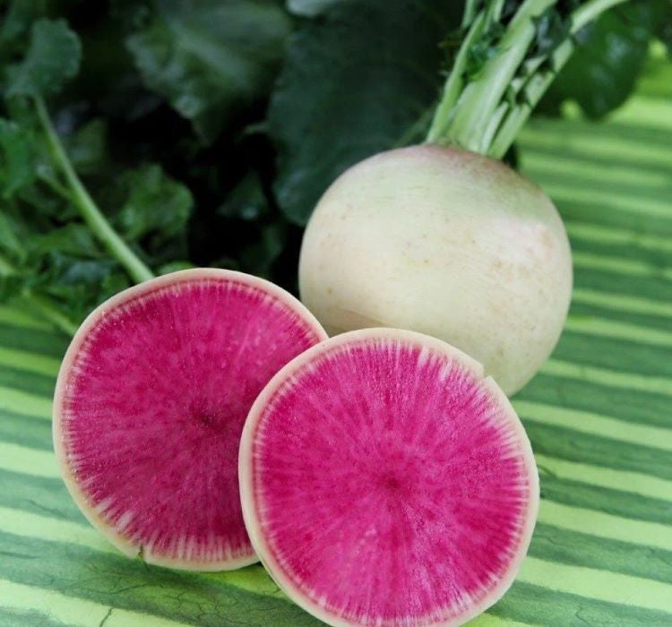 TURP KIRMIZI BEYAZ ( ÇOKLU TOHUM ) - 5 Gram - MegCiTo