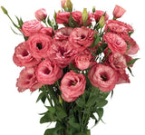 Lisianthus ( Lale Gül ) Advantage Serisi - GÜL RENGİ ( 5 Tohum ) - MegCiTo