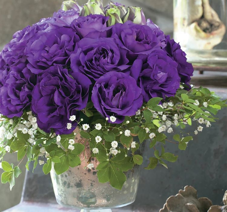 Lisianthus ( Lale Gül ) Gelin Buketi Serisi - MOR ( 5 Tohum ) - MegCiTo