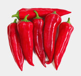 BİBER MARAŞ  ( ÇOKLU TOHUM ) - 5 Gram - MegCiTo