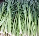 PIRASA ( ÇOKLU TOHUM ) - 5 Gram - MegCiTo