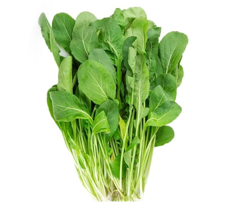 ROKA GENİŞ YAPRAK ( ÇOKLU TOHUM ) - 10 Gram - MegCiTo