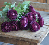 Şakayık Tohumu ( Kalıcı ve Katlı Çiçek )  - Mor Renkli - 5 Tohum - MegCiTo