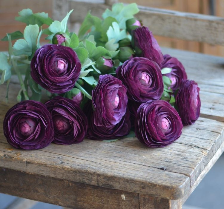 Şakayık Tohumu ( Kalıcı ve Katlı Çiçek )  - Mor Renkli - 5 Tohum - MegCiTo