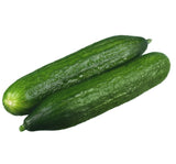 SALATALIK BEITH ALPHA İTHAL ( ÇOKLU TOHUM ) - 5 Gram - MegCiTo