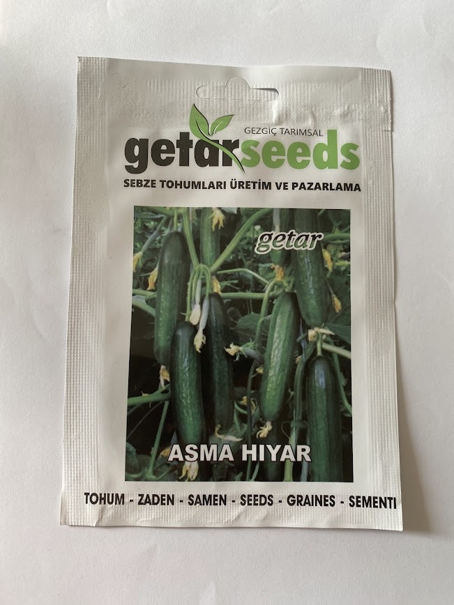 SALATALIK SIRIK ( ÇOKLU TOHUM ) - 20 Adet - MegCiTo