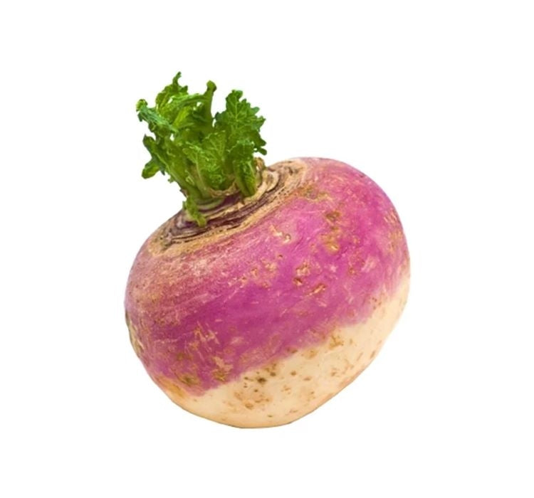 ŞALGAM ( ÇOKLU TOHUM ) - 5 Gram - MegCiTo