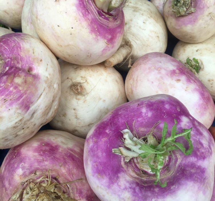 ŞALGAM ( ÇOKLU TOHUM ) - 5 Gram - MegCiTo