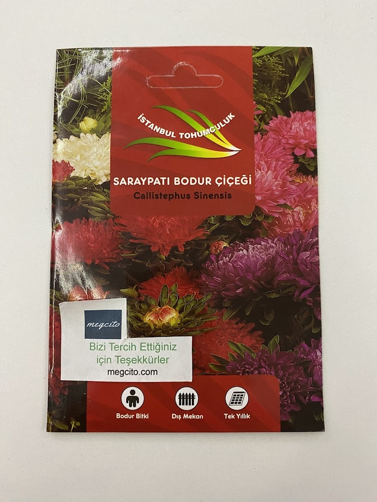 SARAYPATI BODUR ( ÇOKLU TOHUM ) - 125 Tohum - KARIŞIK Renk - MegCiTo