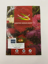 SARAYPATI BODUR ( ÇOKLU TOHUM ) - 125 Tohum - KARIŞIK Renk - MegCiTo