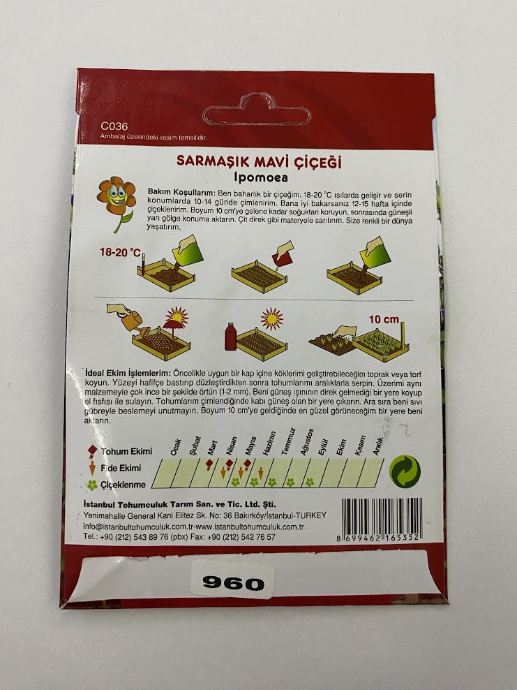 SARMAŞIK ( ÇOKLU TOHUM ) - 50 Tohum - MAVİ Renk - MegCiTo