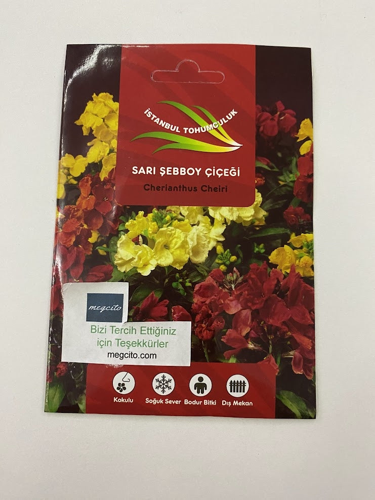 SARI ŞEBBOY ( ÇOKLU TOHUM ) - 250 Tohum - KARIŞIK Renk - MegCiTo