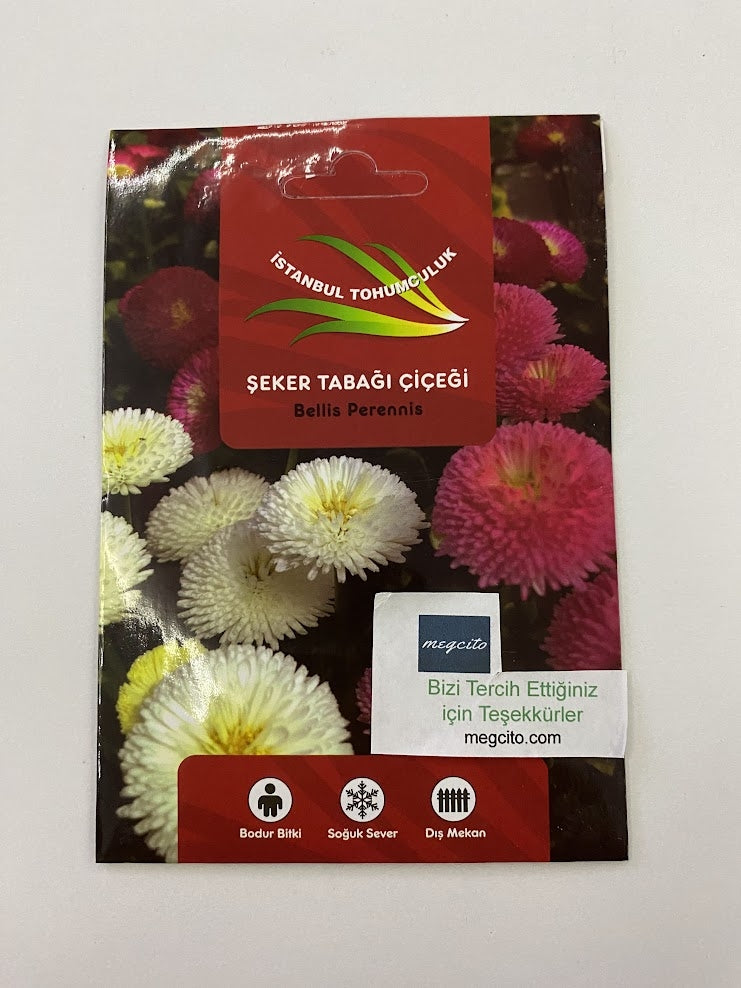 ŞEKER TABAĞI ( ÇOKLU TOHUM ) - 150 Tohum - KARIŞIK Renk - MegCiTo