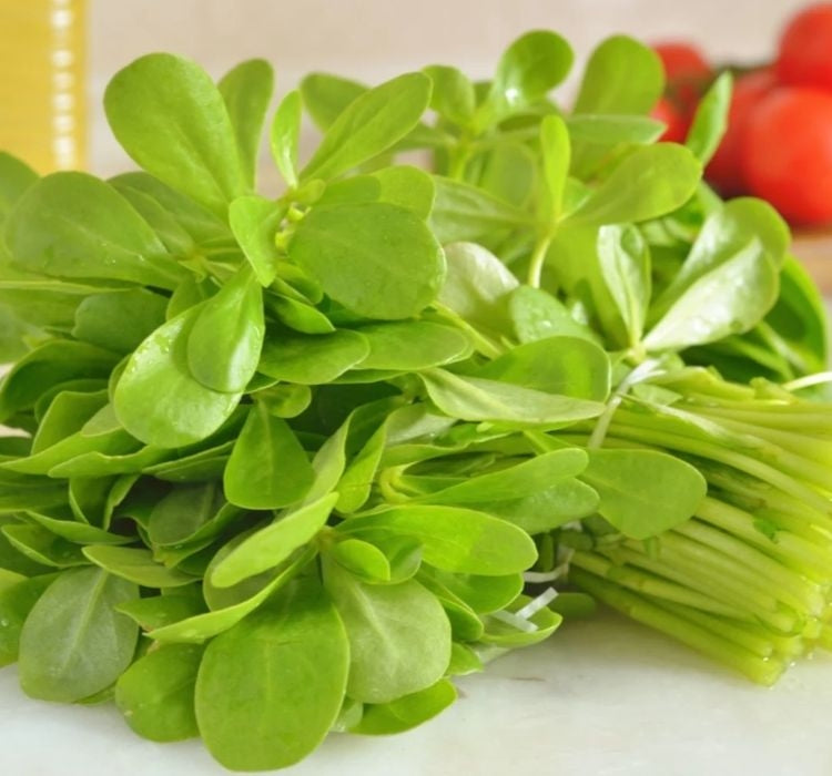 SEMİZOTU  ( ÇOKLU TOHUM ) - 5 Gram - MegCiTo