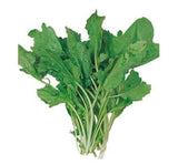 TERE İNCE ( ÇOKLU TOHUM ) - 10 Gram - MegCiTo