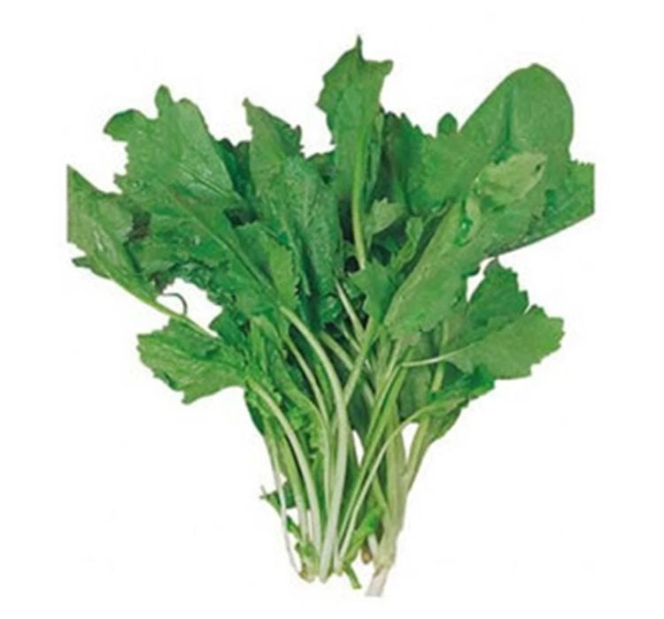 TERE İNCE ( ÇOKLU TOHUM ) - 10 Gram - MegCiTo