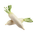 TURP ÇİN BEYAZ ( ÇOKLU TOHUM ) - 5 Gram - MegCiTo