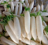 TURP ÇİN BEYAZ ( ÇOKLU TOHUM ) - 5 Gram - MegCiTo